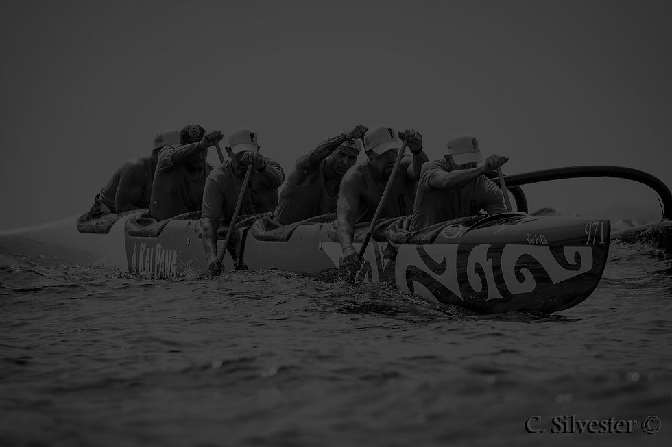 41869220_10216365347060811_7584951238744080384_o_edited.jpg
