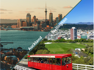 Wellington ou Auckland ?