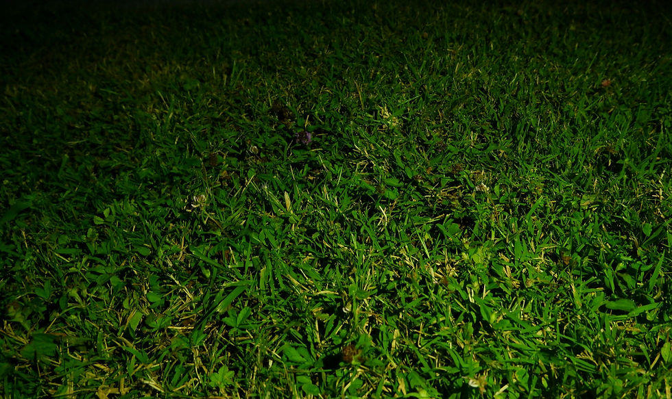 DSCF4037_edited.jpg