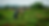 _SRD6300_edited.png