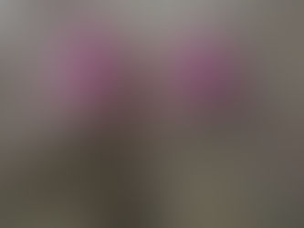 Reflection: The Creative System That FINALLY Worked for Me in 2025