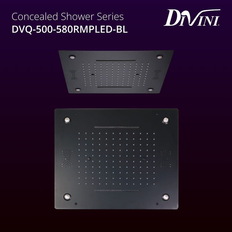 Hình thu nhỏ: Bộ sen âm trần Divini - DVQ-500-580RMPLED-BL (580*500mm). Inox mạ Matt Black