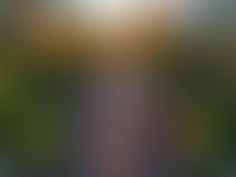 Mundial 2026: Estas avenidas de CDMX tendrán 250 figuras gigantes