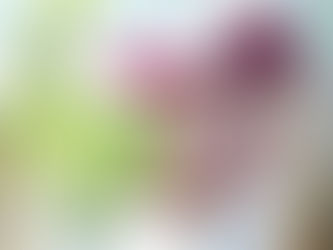 NUEVO LEÓN MERECE UN GOBIERNO QUE DÉ RESULTADOS, NO UNO QUE VIVA EN LAS REDES SOCIALES: WALDO FERNÁNDEZ.