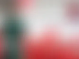 Vozinha llega a Chile para cerrar su fichaje con Colo Colo