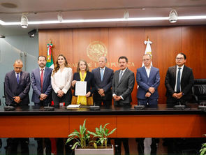 “Plan B” electoral avanza en el Senado con respaldo aliado