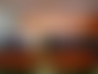 “Plan B” electoral avanza en el Senado con respaldo aliado