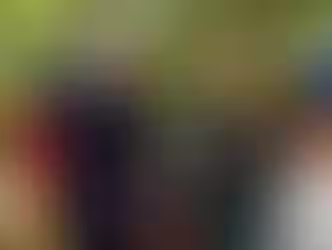 Sheinbaum y Steinmeier abordan retos globales