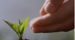 Premier investissement pour Origine Partners