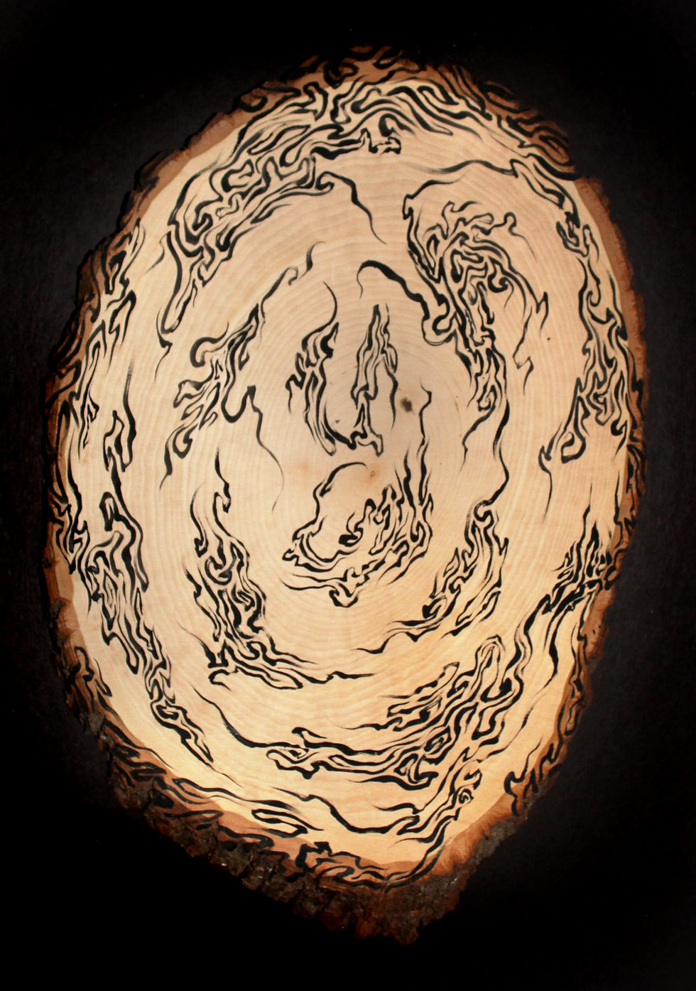 Slice of the Universe 4