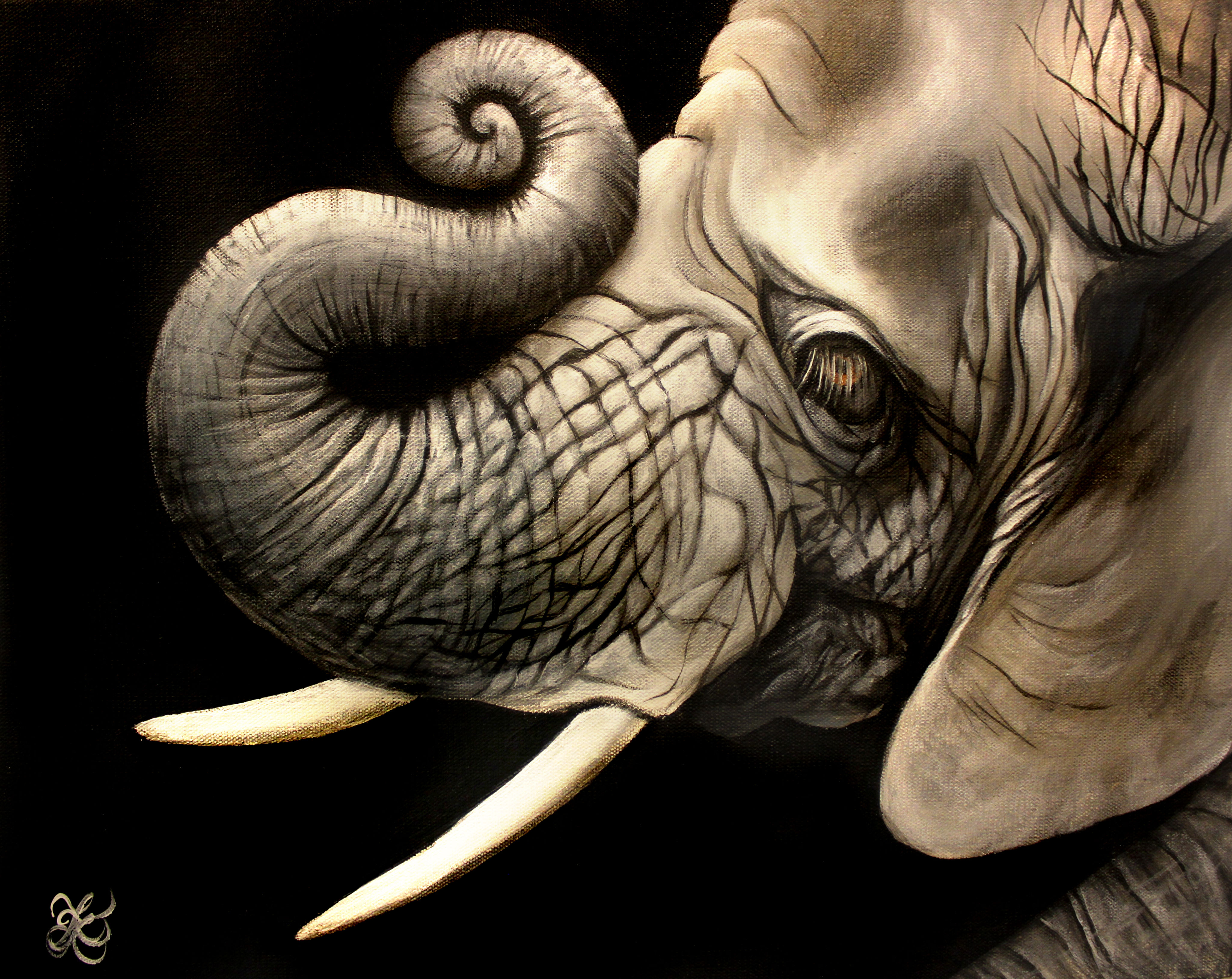 Elephant Portrait - Print