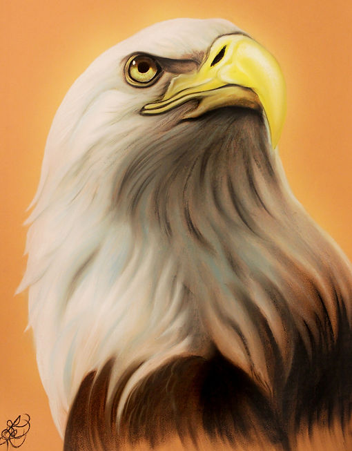 Karen's original bald eagle art, partial donation to Center for Great Apes, and drawn live at the 2018 Endangered Exhibition