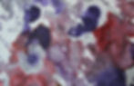 Ecosystem (detail)