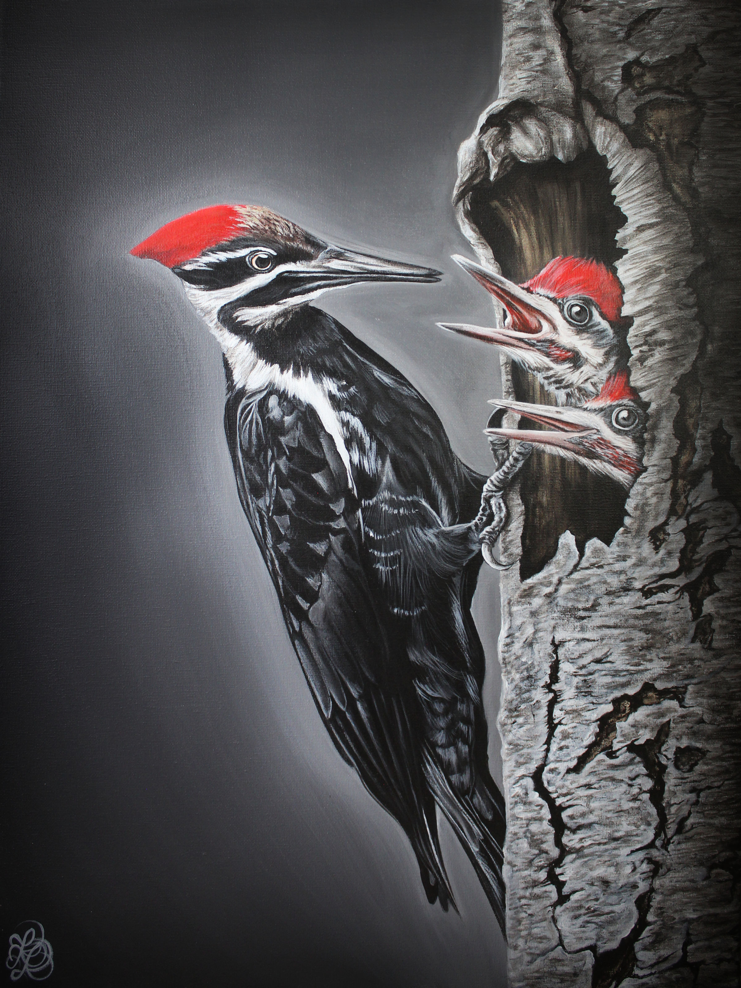 Woodpecker - Print