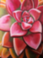 Succulent Series #7