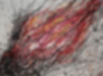 A Fiery Passion