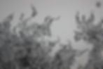 Organism (Close Up)