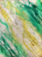 Biome