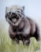 Howl of Potential