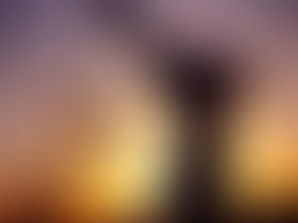 Del sueño a la realidad