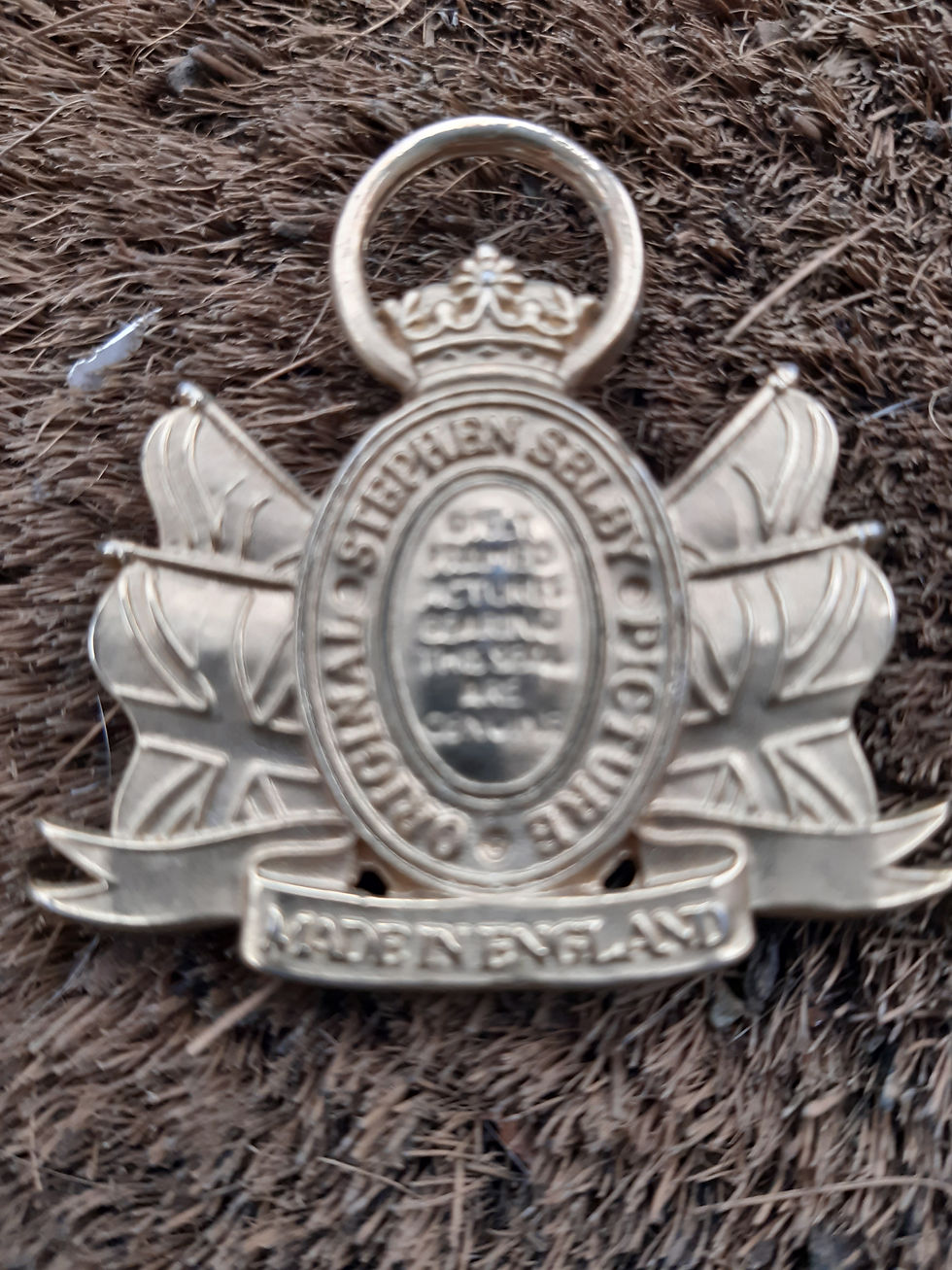 1975 Stephen Selby Original Picture Brass Medallio