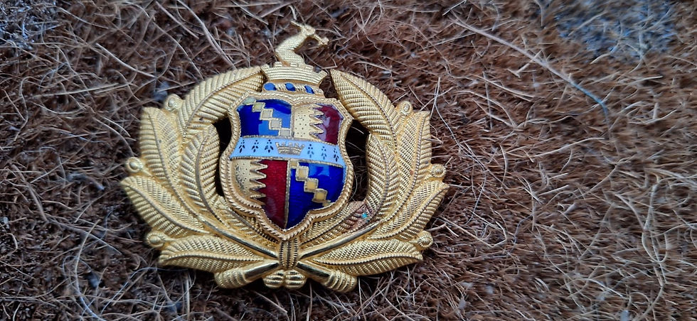 Birmingham Fire Brigade Station Officer 1927 To 1941 Gilt Enamel Cap Badge