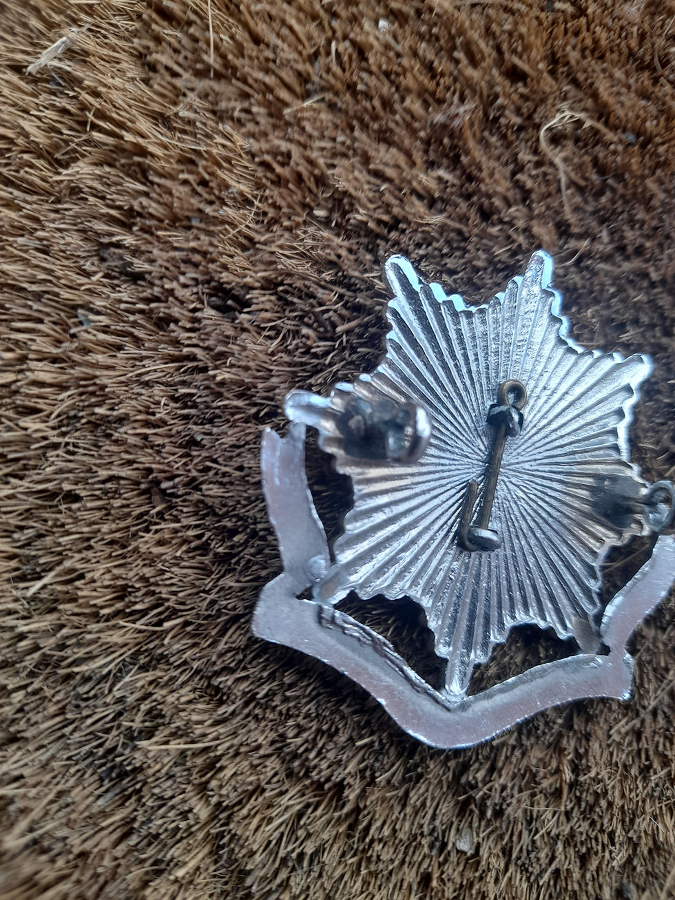 Thumbnail: Bath Fire & Ambulance Service 1948 To 1969 Cap Badge