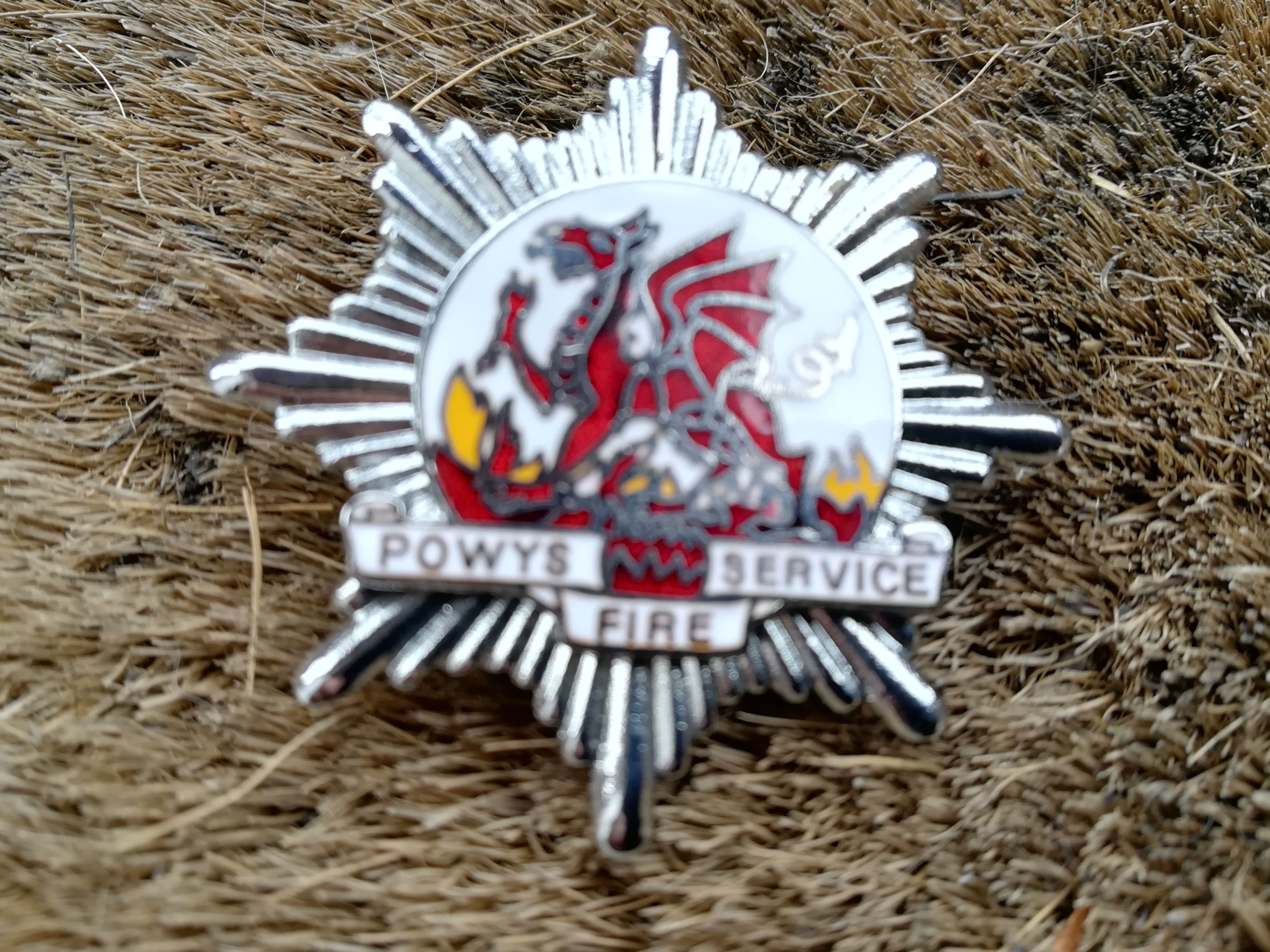 Powys Fire Service 1974 To 1996 Cap Badge
