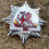 Thumbnail: Powys Fire Service 1974 To 1996 Cap Badge