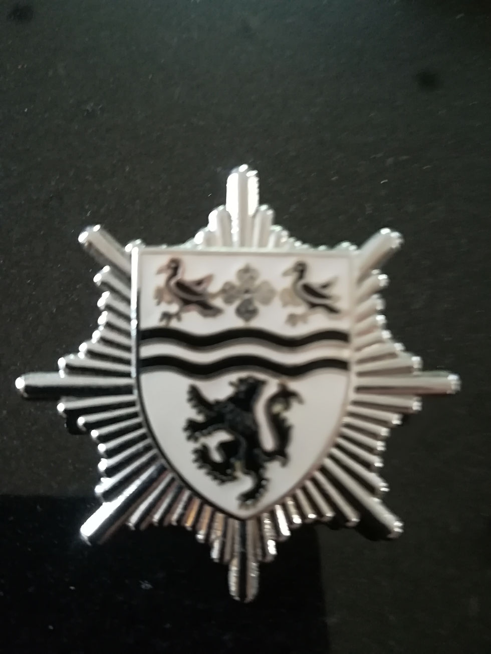 Clwyd Fire Service 1974 To 1996 Cap Badge