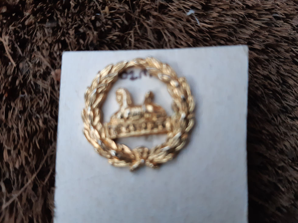 Gloucestershire Regiment 1881 To 1994 Rear Cap Bad