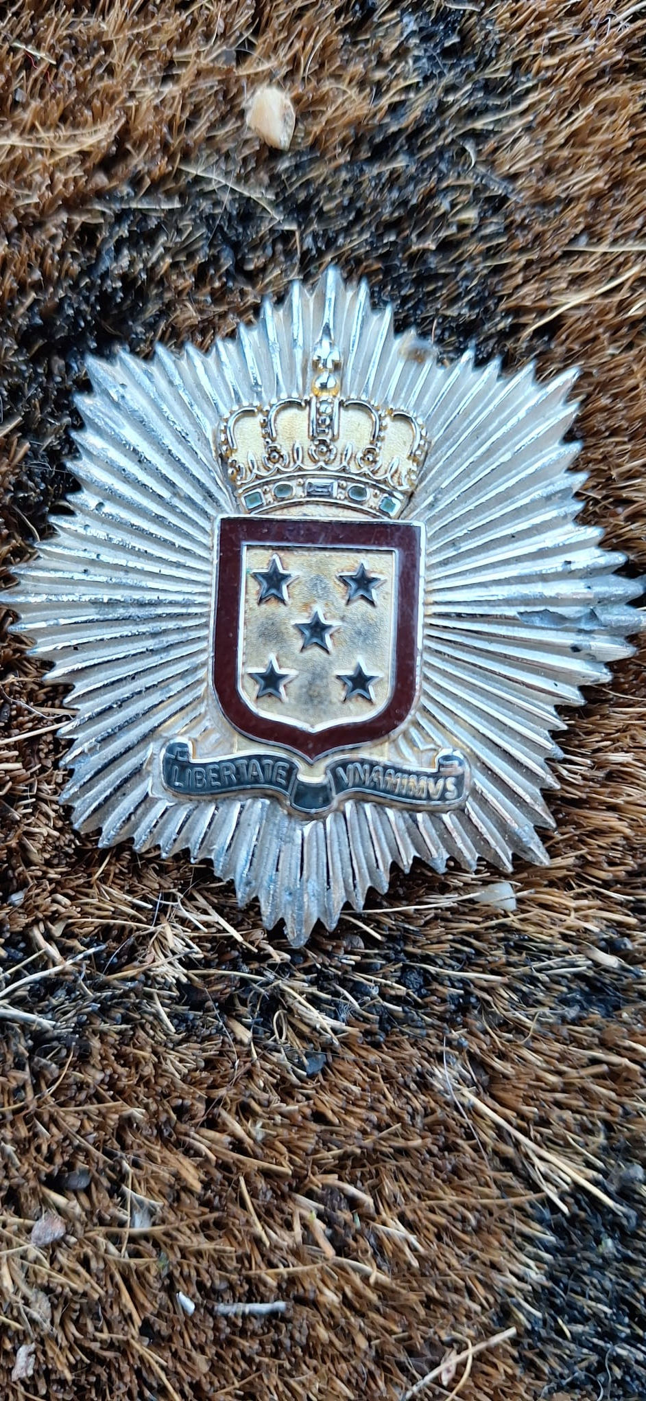 Suriname Fire Brigade Cap Badge