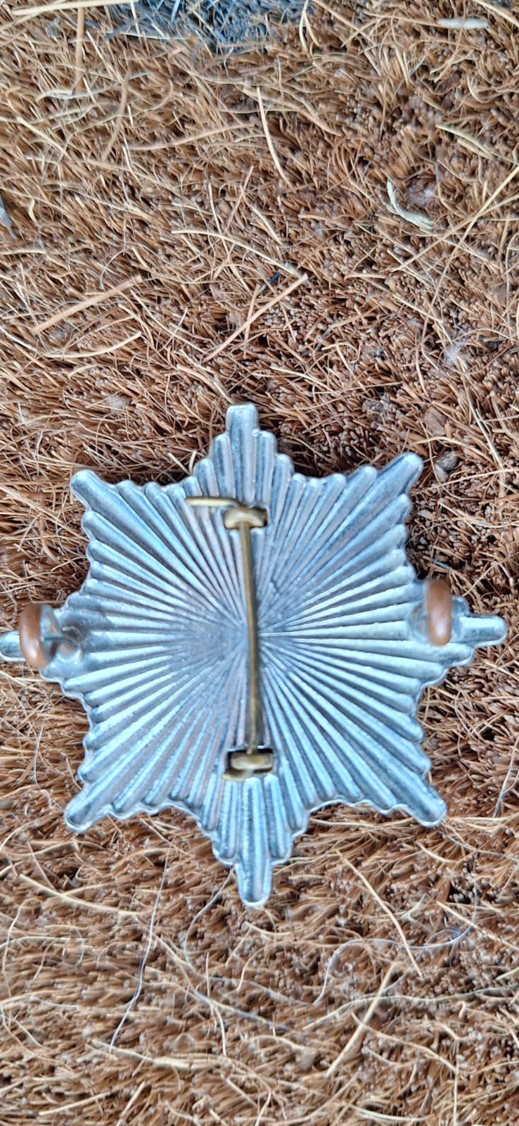 Thumbnail: Singapore Fire Brigade Cap Badge