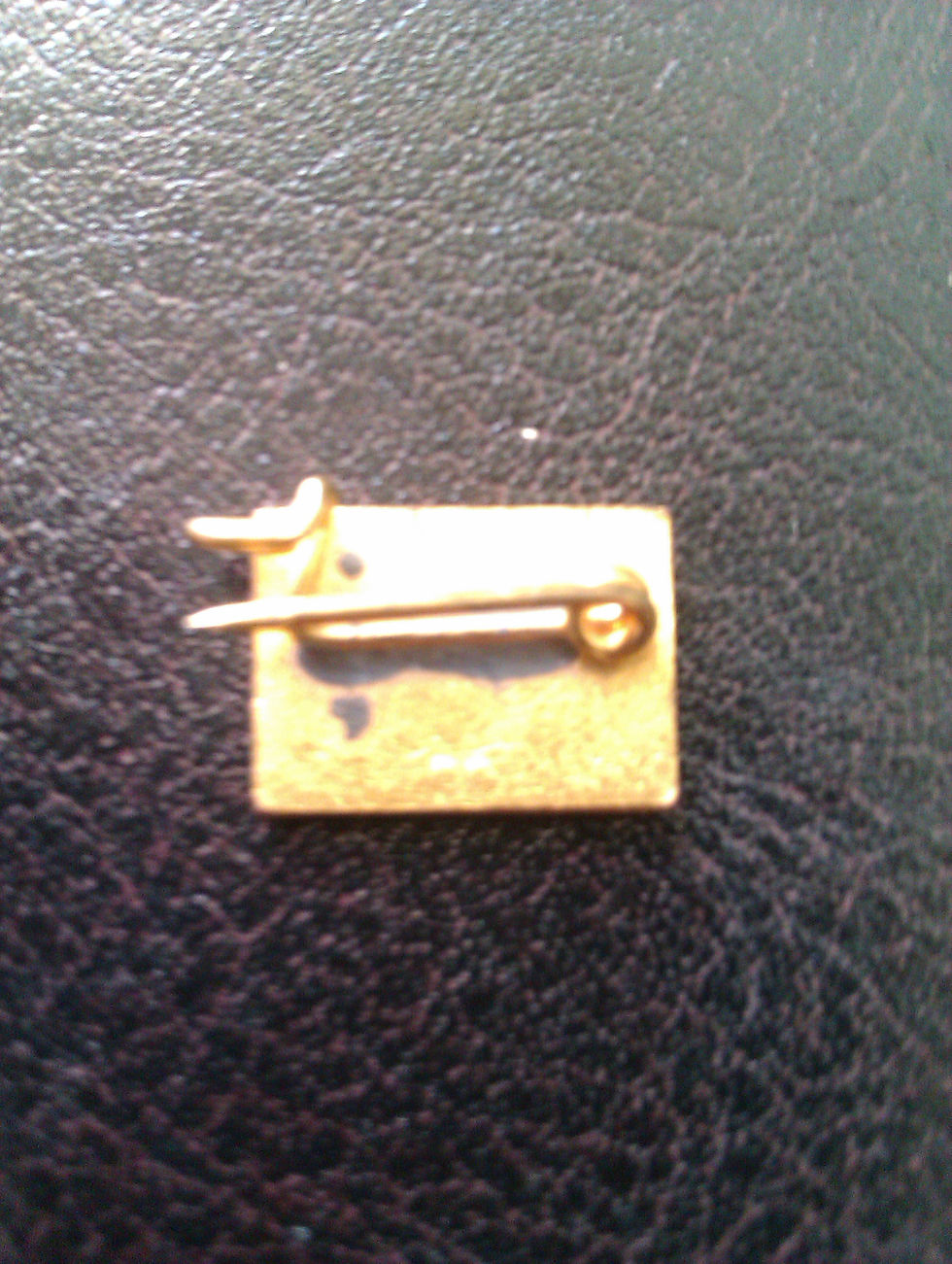 Thumbnail: E.U. Brass & Enamel Badge