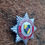 Thumbnail: Kenya Nairobi City Fire Service Dark Red Cap Badge