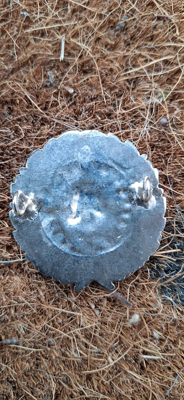 Thumbnail: South African Durban Fire Department Cap Badge