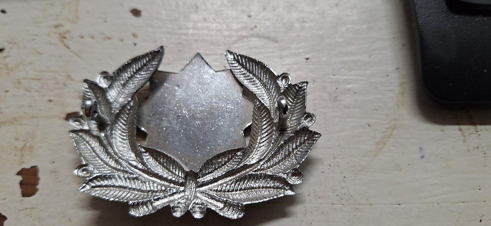 Thumbnail: British Railways Fire Brigade Senior Officer 3rd Pat Cap Badge