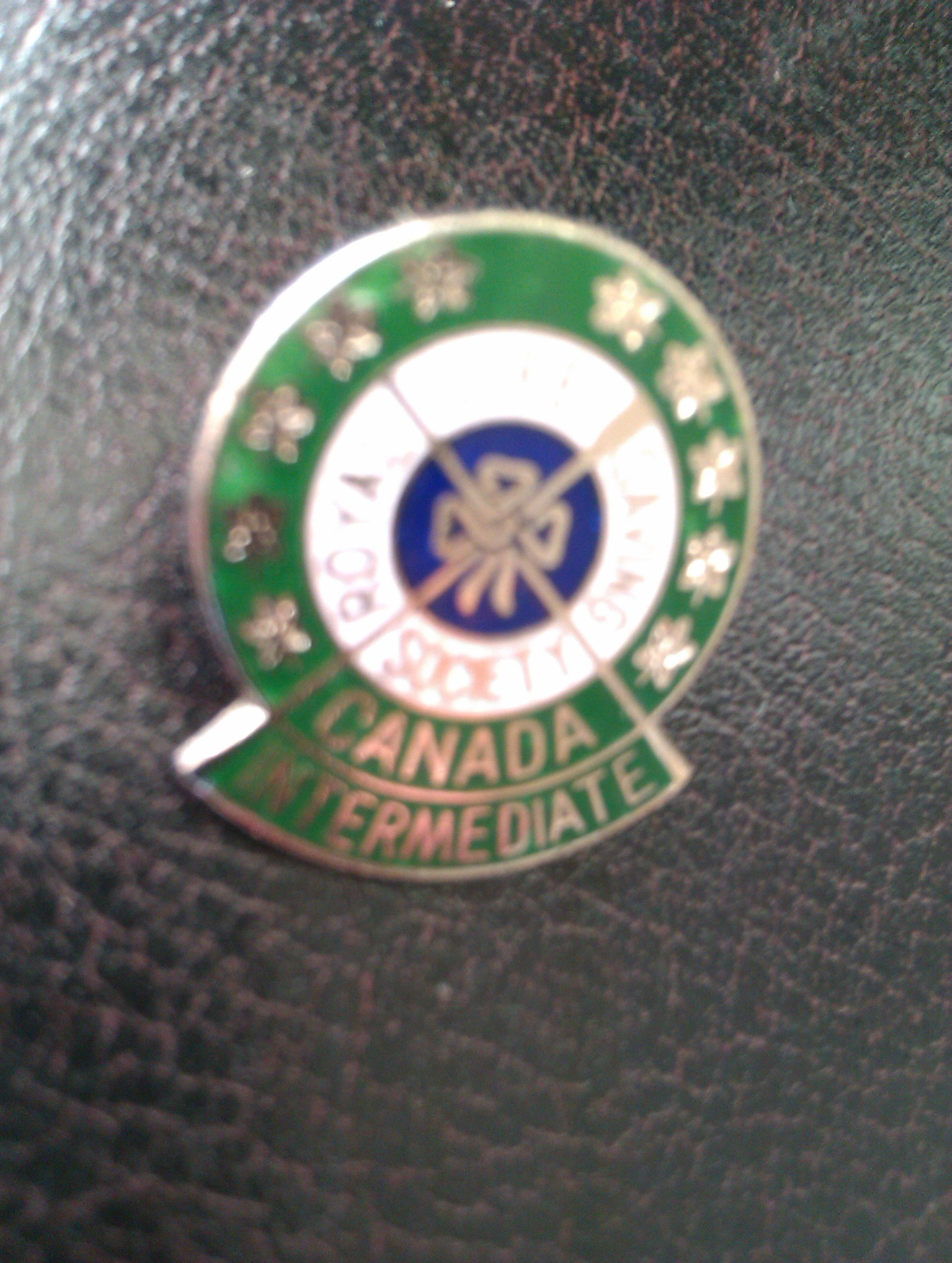 Canadian Royal Lifesaving Society Metal Enamel