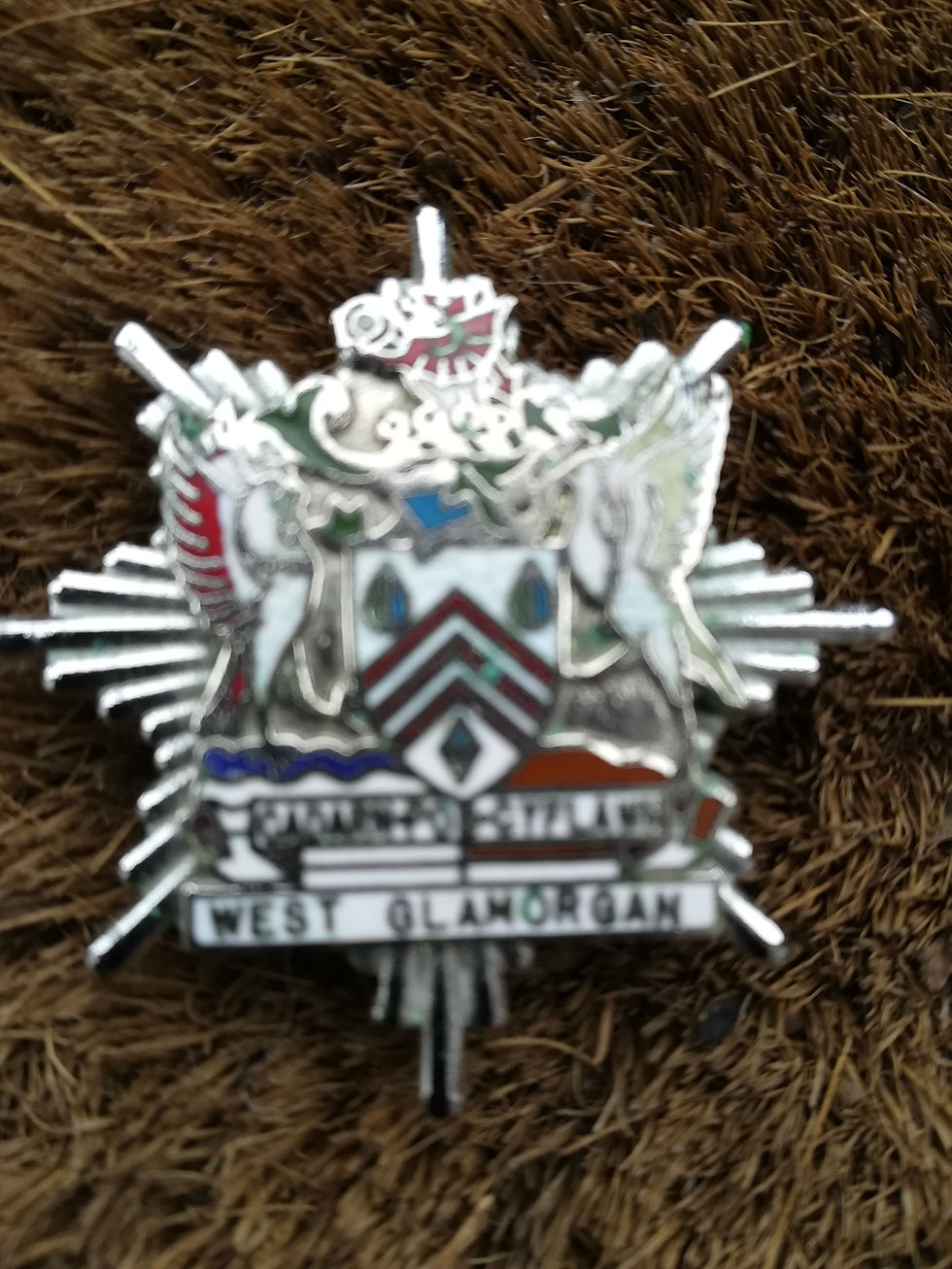 West Glamorgan Fire Service 1979 to 1996 Cap Badge