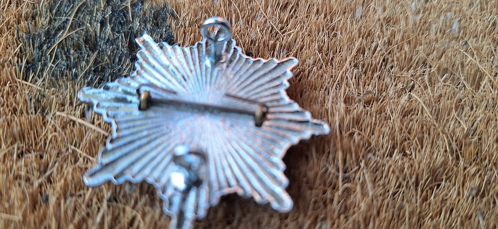 Thumbnail: Nottinghamshire Ambulance Service 1948 To 1974 Red Variation Cap Badge