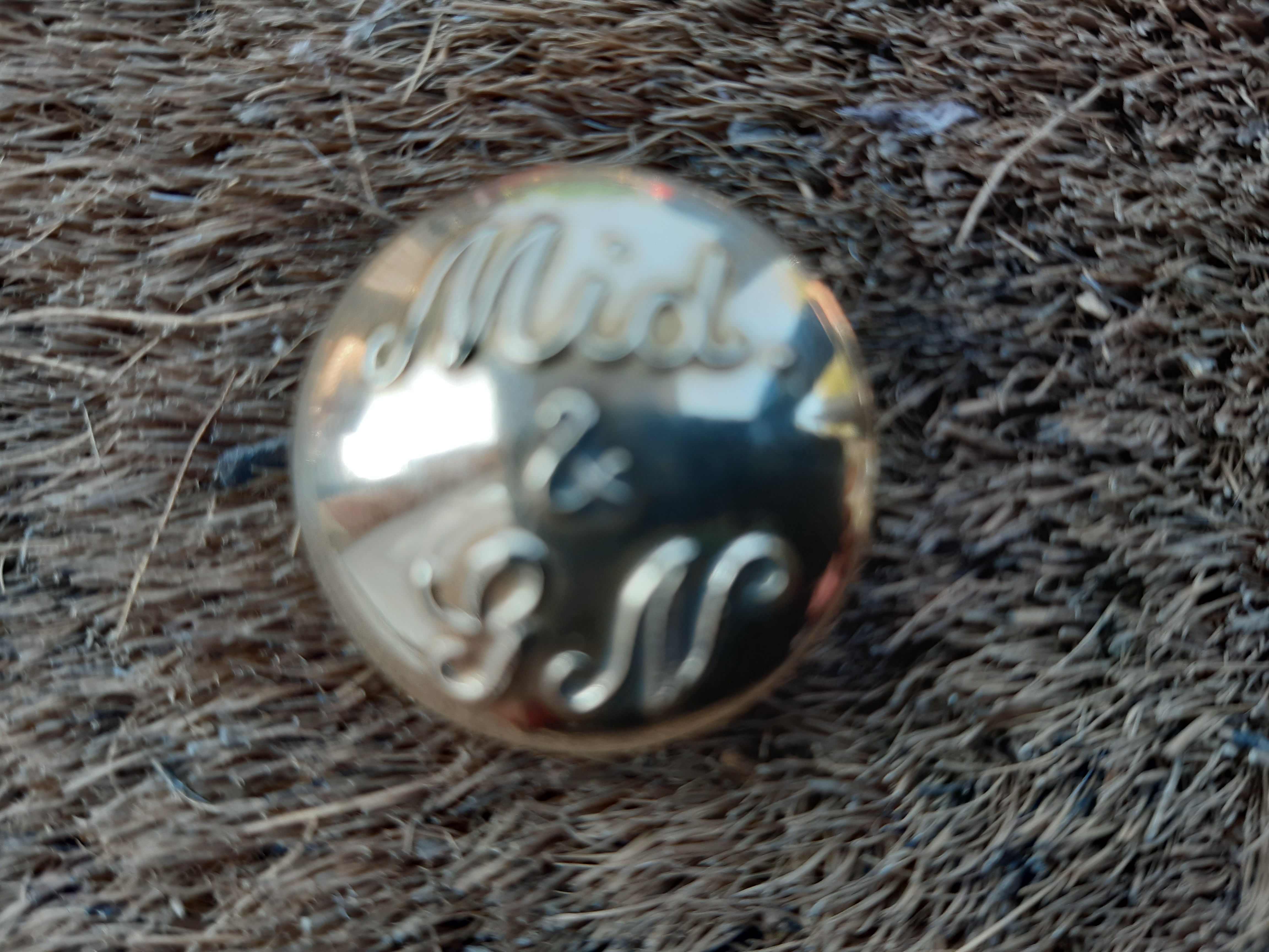 Midland & Great Northern Railway Large Brass Butto