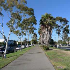 Culver Median/ Bike Path Community Meeting