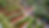 AM26b.0105.png