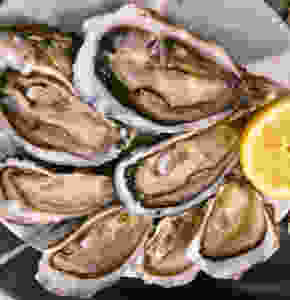 Ostras na KaDeWe de Berlim