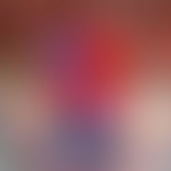 O amor entre as cinzas