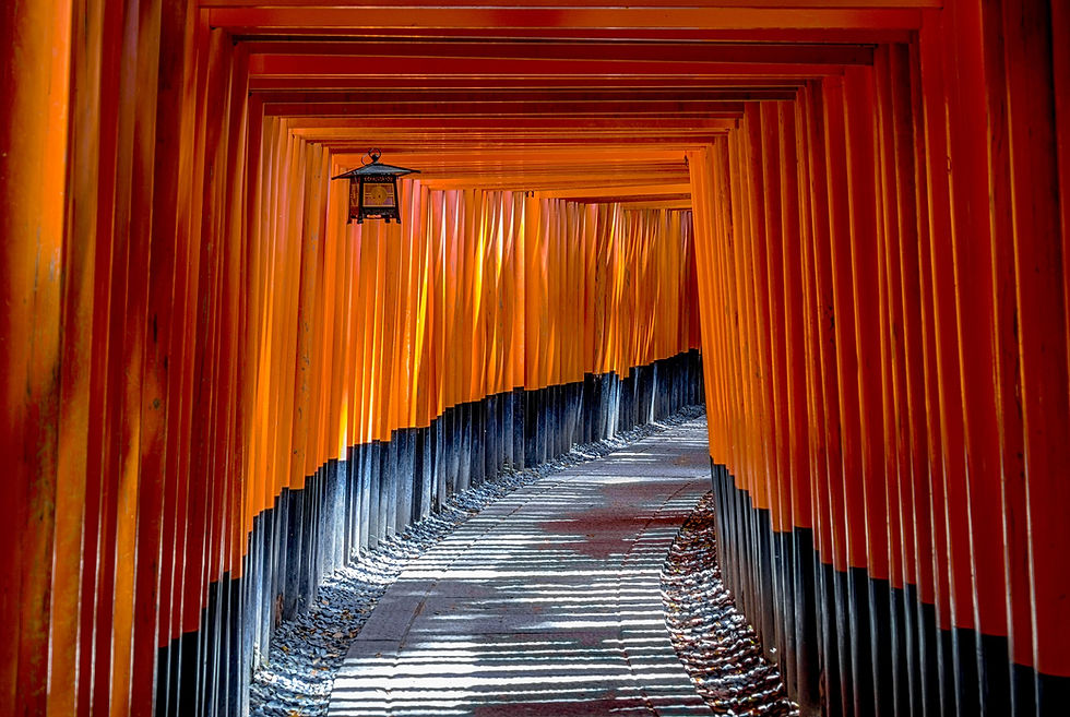 Toris vermelhos em Fushimi Inari