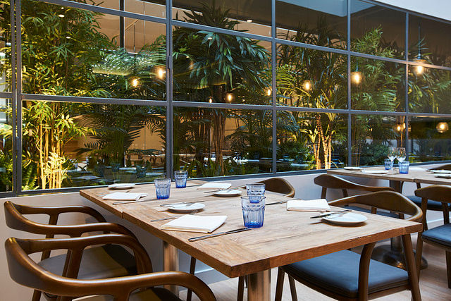 Interior restaurante