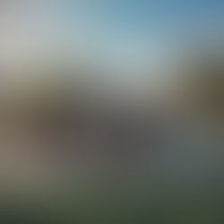 Minha primeira vez no México