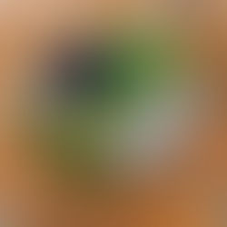 Super gastrotrip em Copenhague