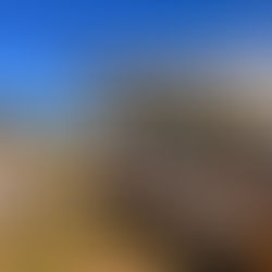 Festivais de verão em Londres